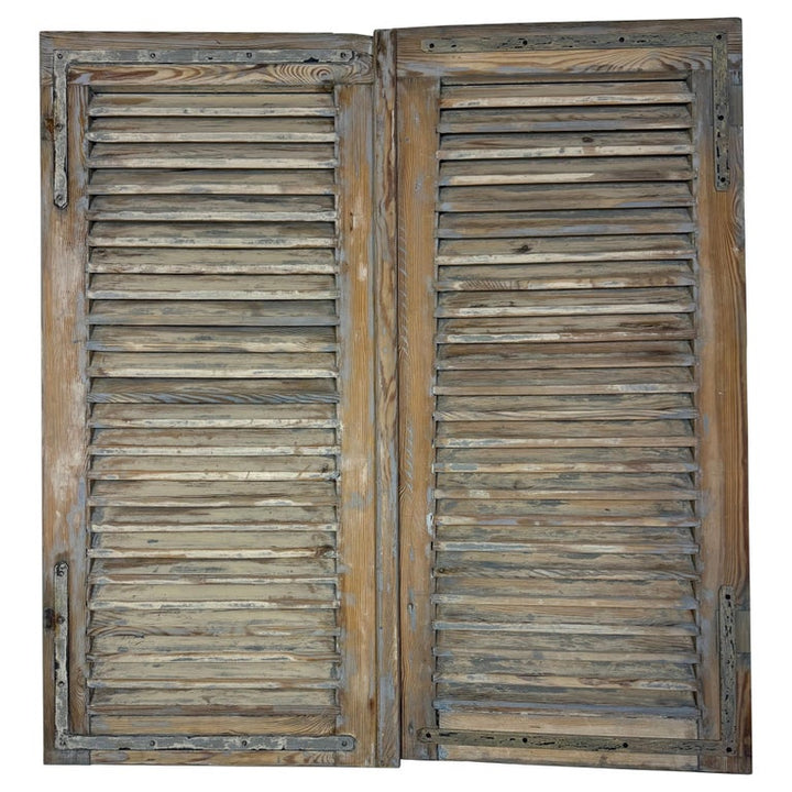 19th C. Pair of French Painted Shutters