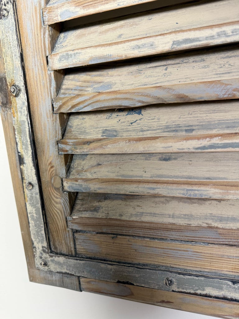 19th C. Pair of French Painted Shutters