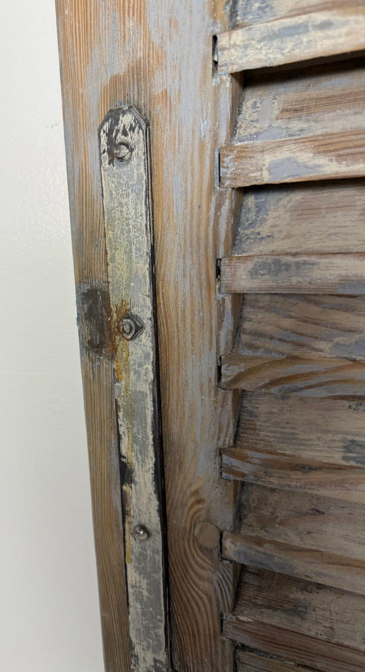 19th C. Pair of French Painted Shutters