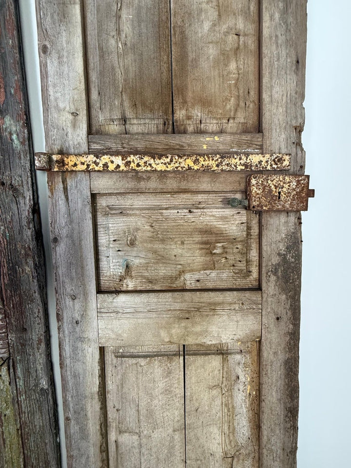 Pair of 19th C. Rustic Painted Doors