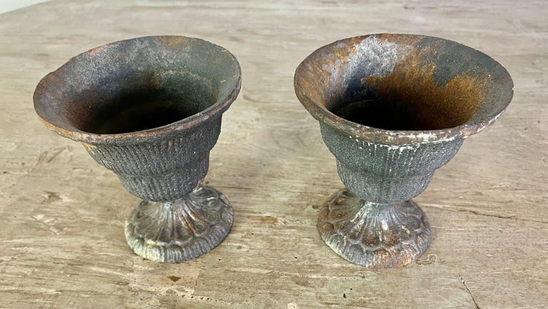 Pair of Petite French Cast Iron Urns