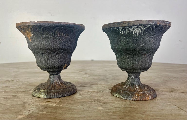 Pair of Petite French Cast Iron Urns