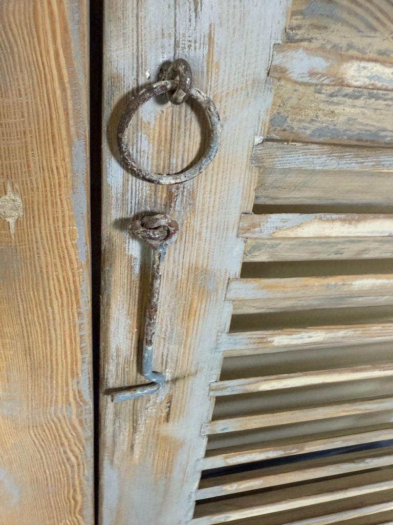 19th C. Pair of French Painted Shutters