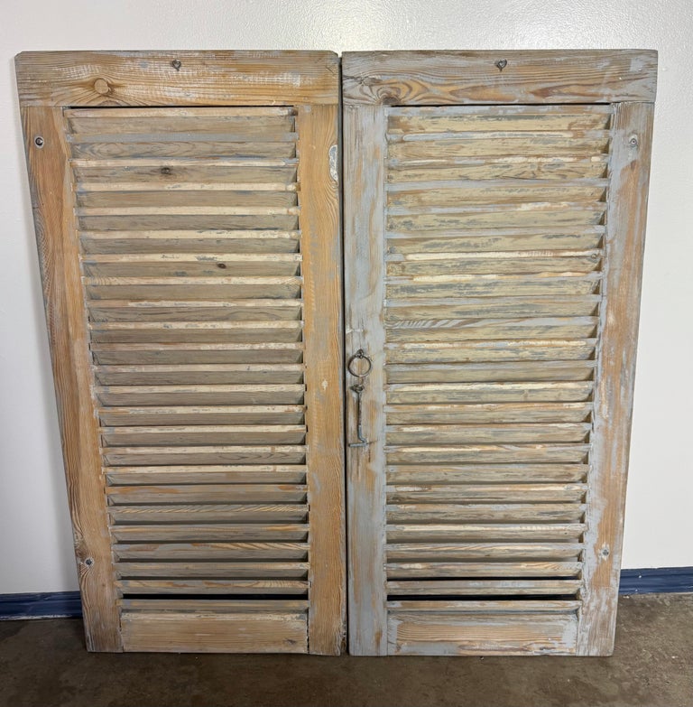 19th C. Pair of French Painted Shutters