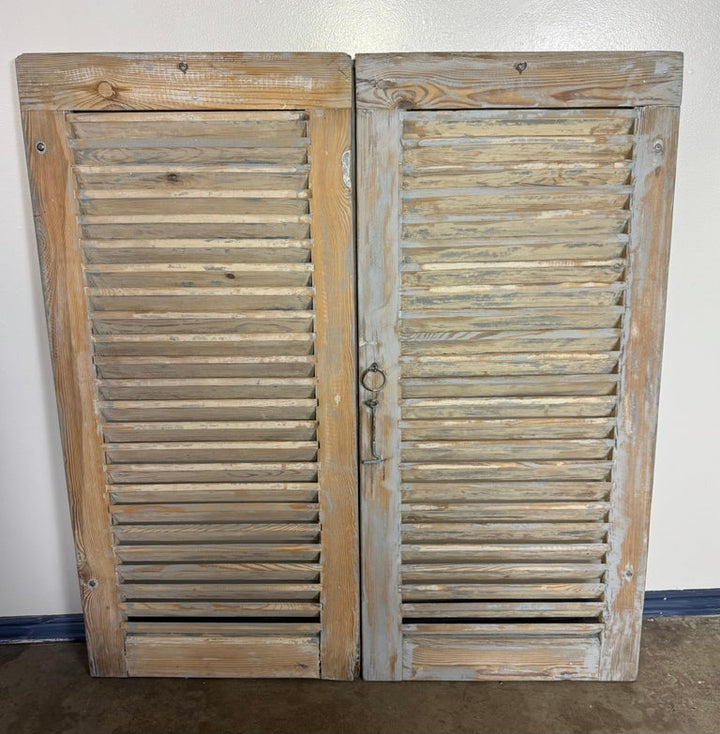 19th C. Pair of French Painted Shutters