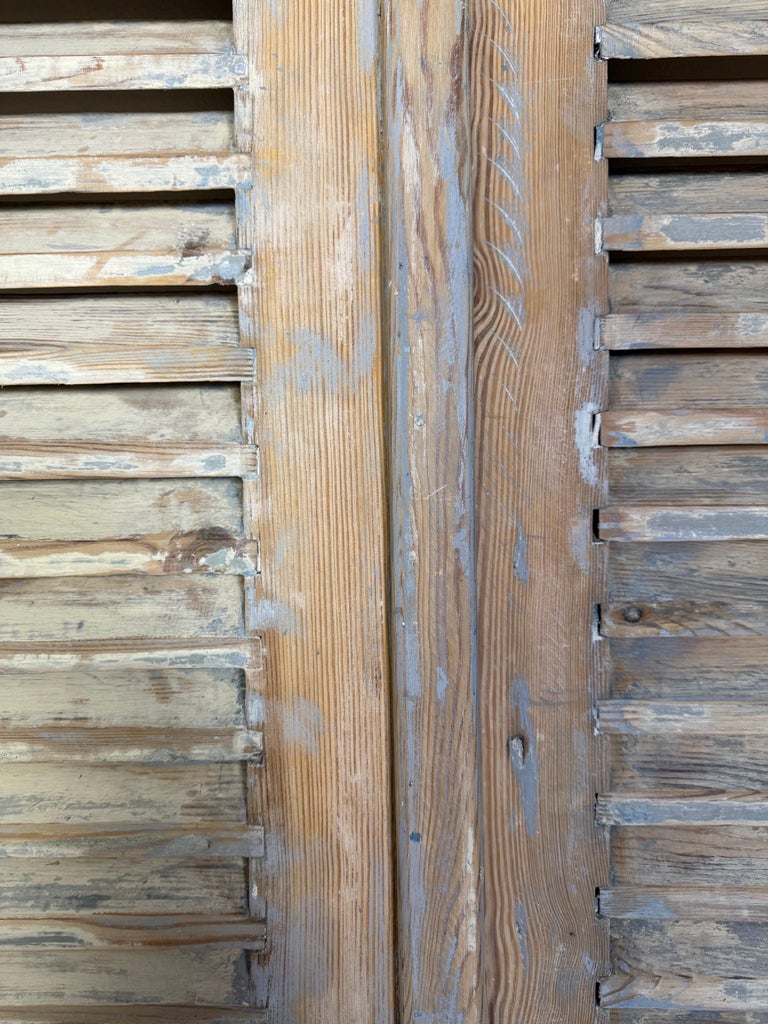 19th C. Pair of French Painted Shutters