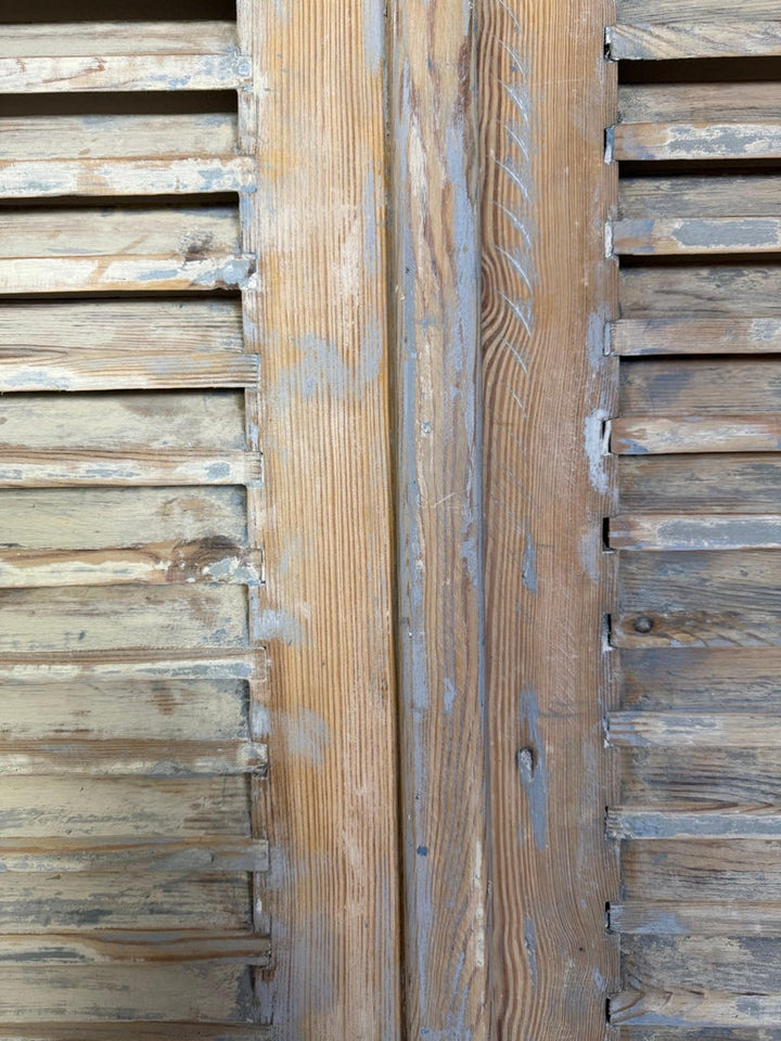 19th C. Pair of French Painted Shutters