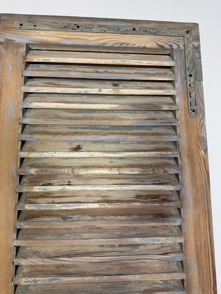19th C. Pair of French Painted Shutters