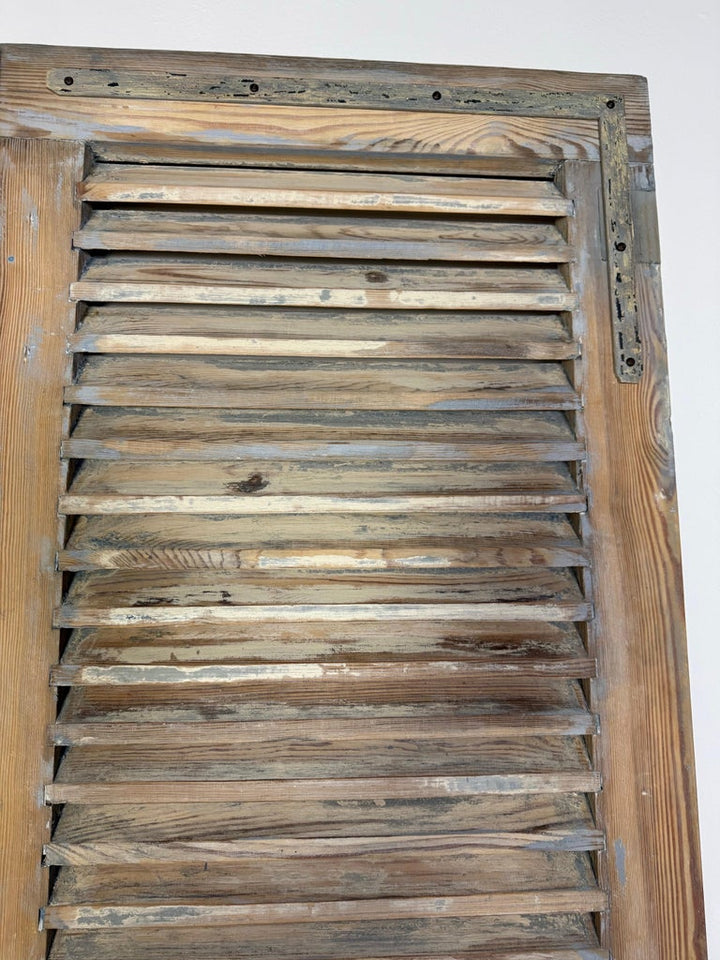 19th C. Pair of French Painted Shutters