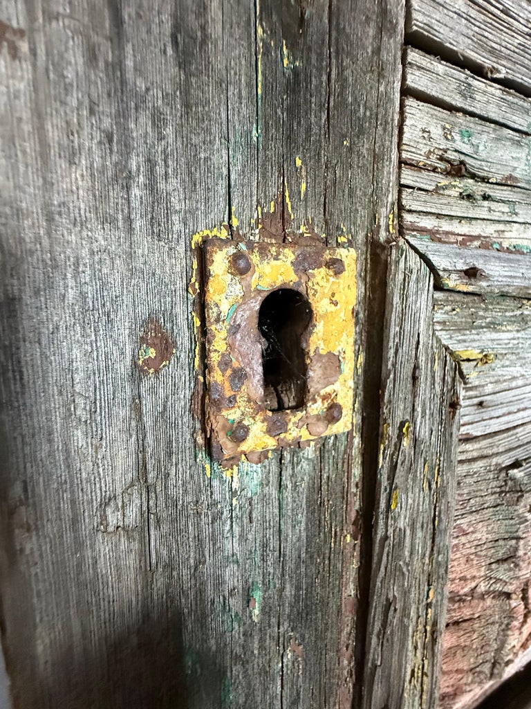 Pair of 19th C. Rustic Painted Doors