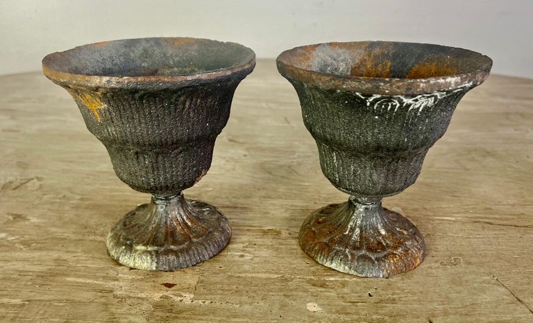 Pair of Petite French Cast Iron Urns