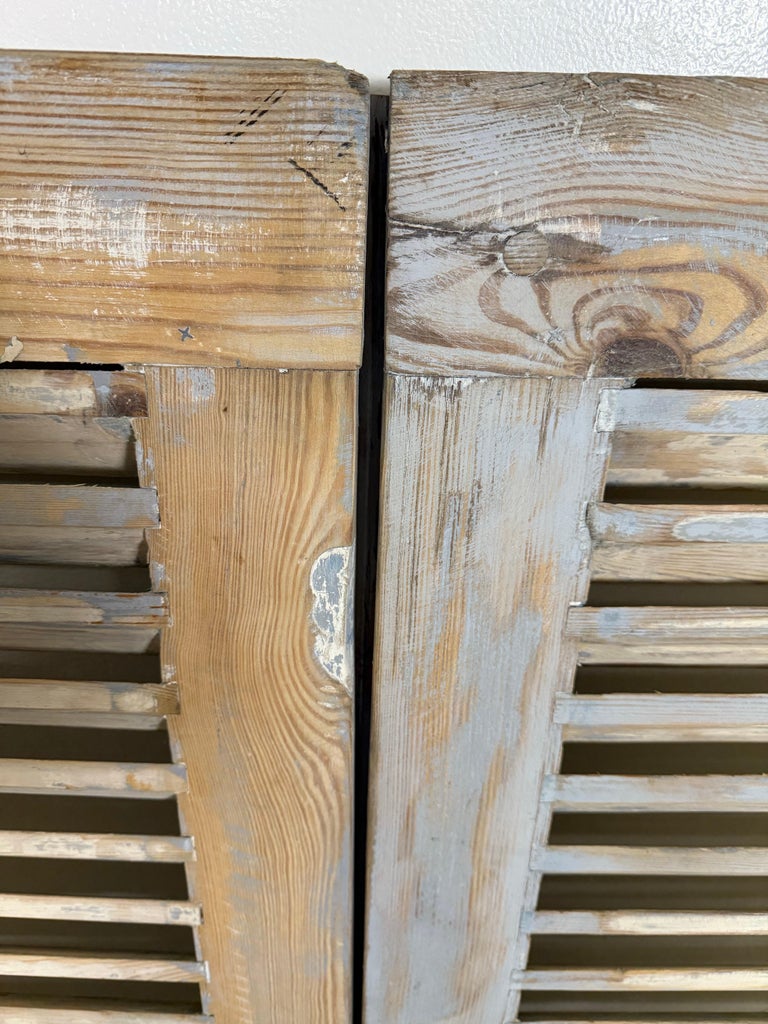 19th C. Pair of French Painted Shutters