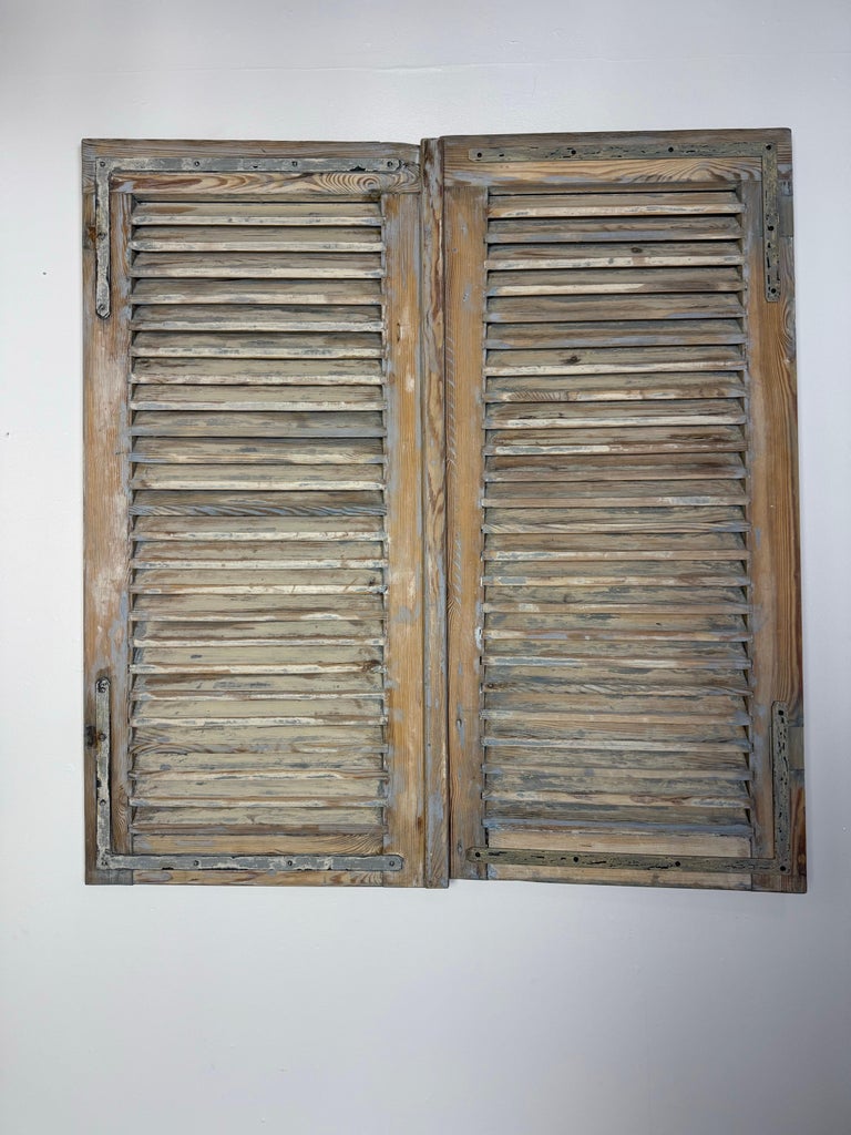 19th C. Pair of French Painted Shutters