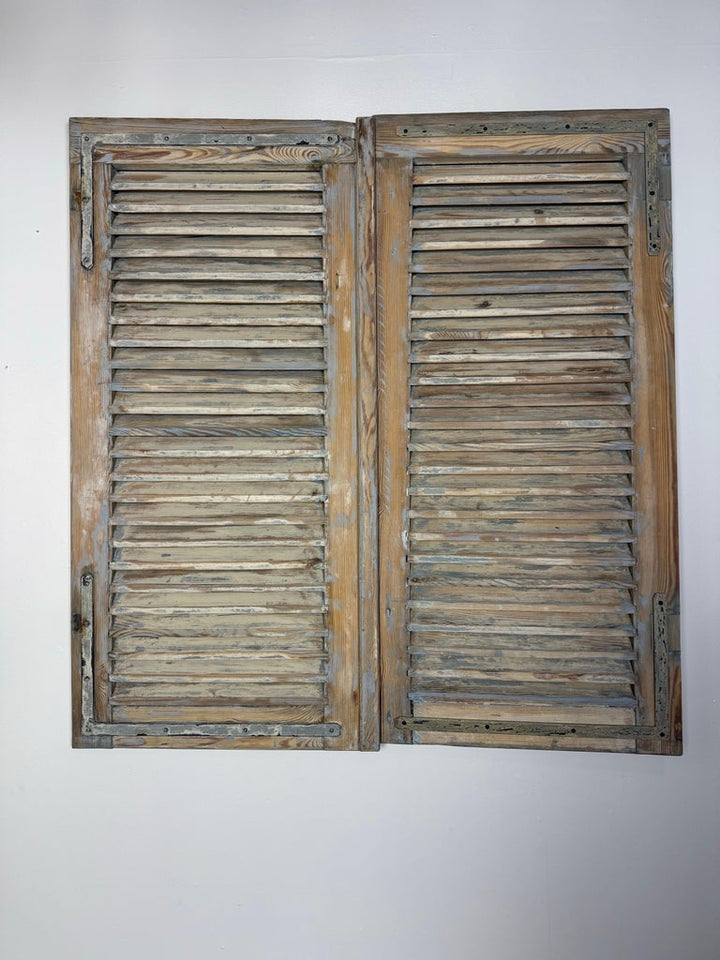 19th C. Pair of French Painted Shutters
