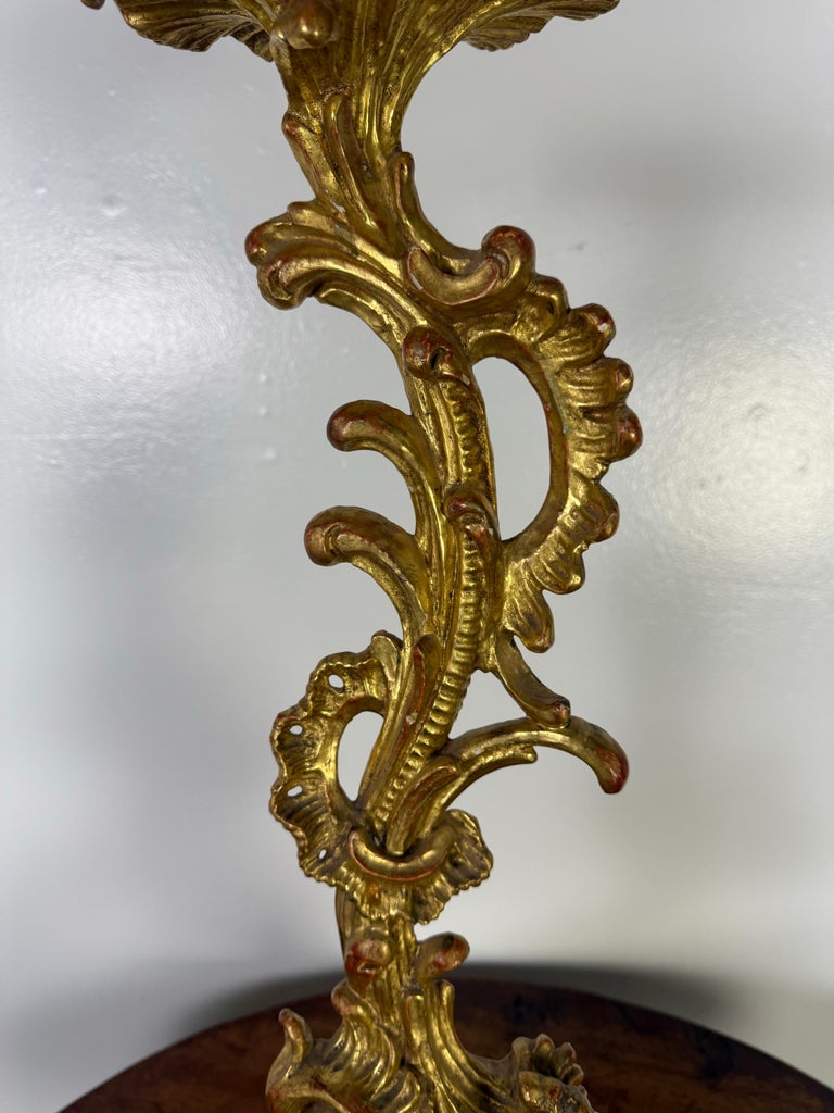 19th C. Italian Giltwood Candlestick