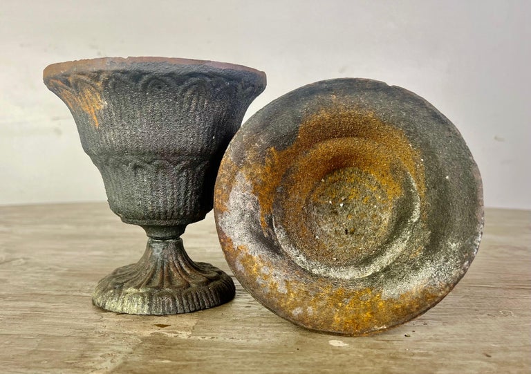 Pair of Petite French Cast Iron Urns