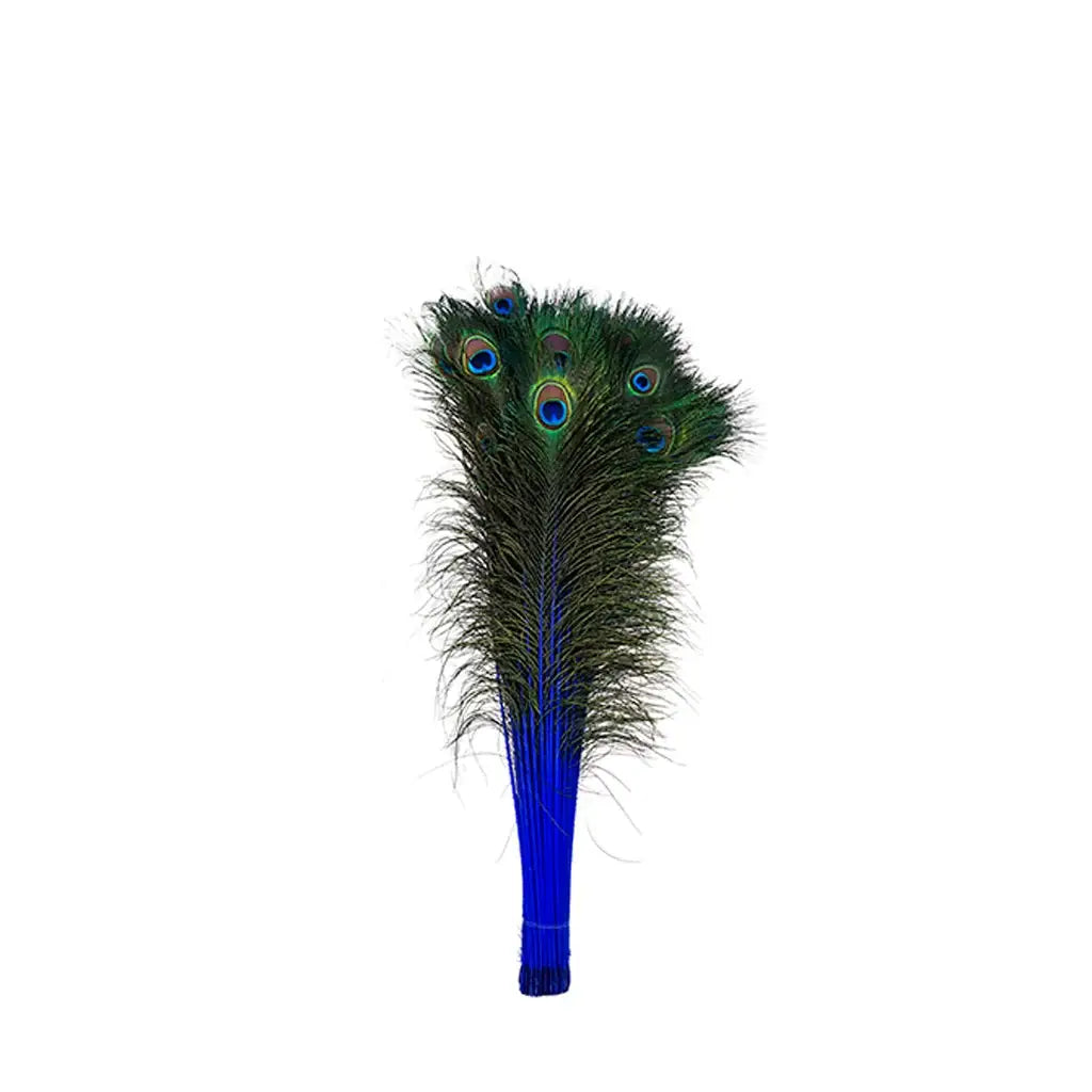 Peacock Tail Eyes Stem Dyed - 25-40 Inch - 100 PCS - Royal