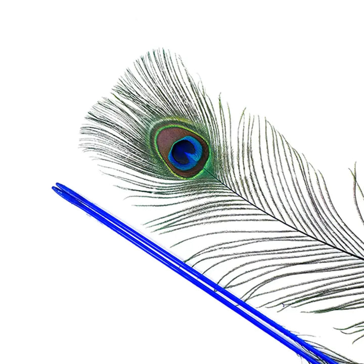 Peacock Tail Eyes Stem Dyed - 25-40 Inch - 100 PCS - Royal