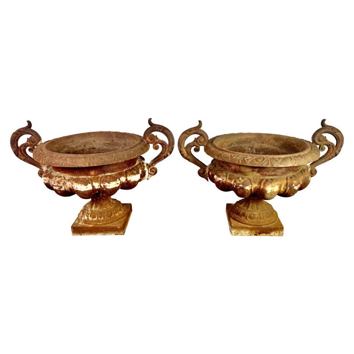 Pair of 19th Century French Cast Iron Urns