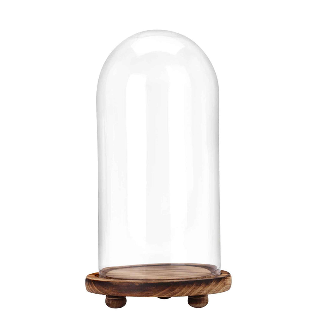 Glass Dome with Wood Base 13" Tall