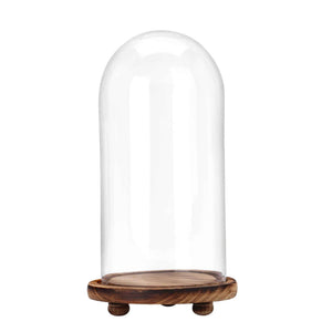 Glass Dome with Wood Base 13" Tall