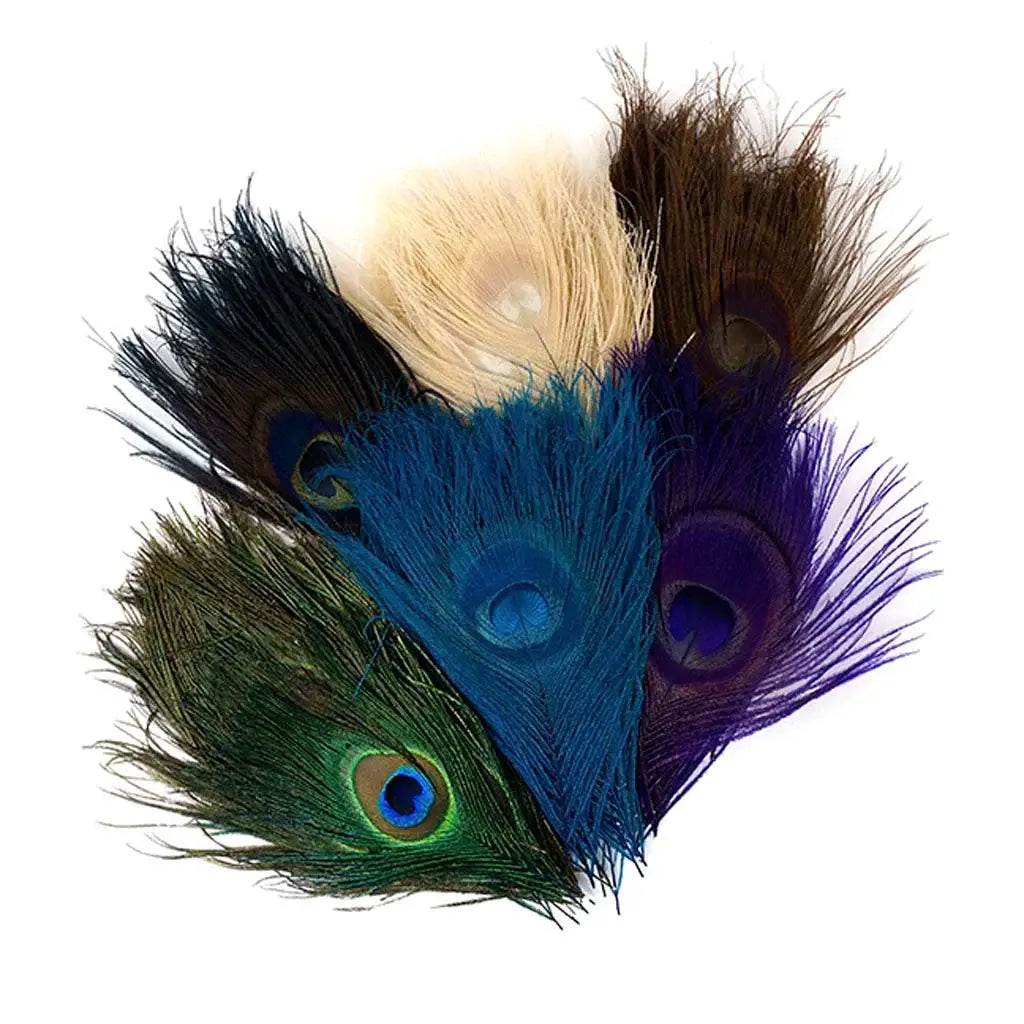 Peacock Assorted Feather Eyes - Assorted Mix