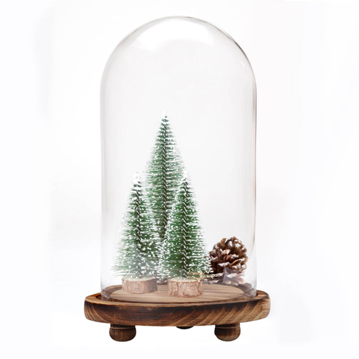 Glass Dome with Wood Base 13" Tall