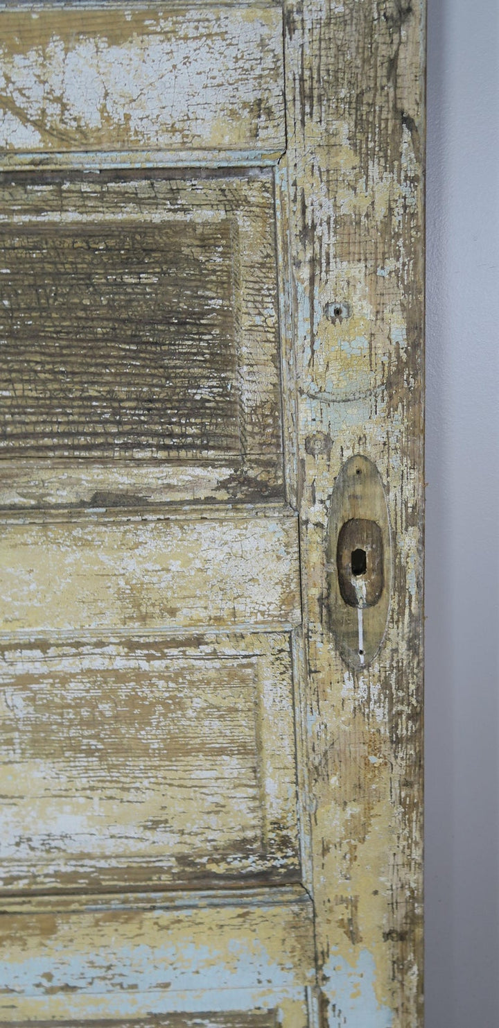 19th Century French Painted Barn Door