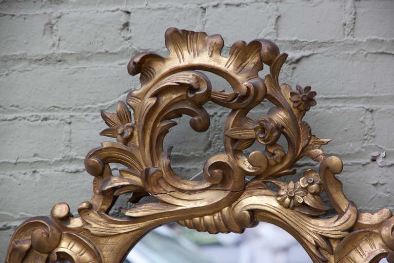 Italian Rococo Style Giltwood Mirror