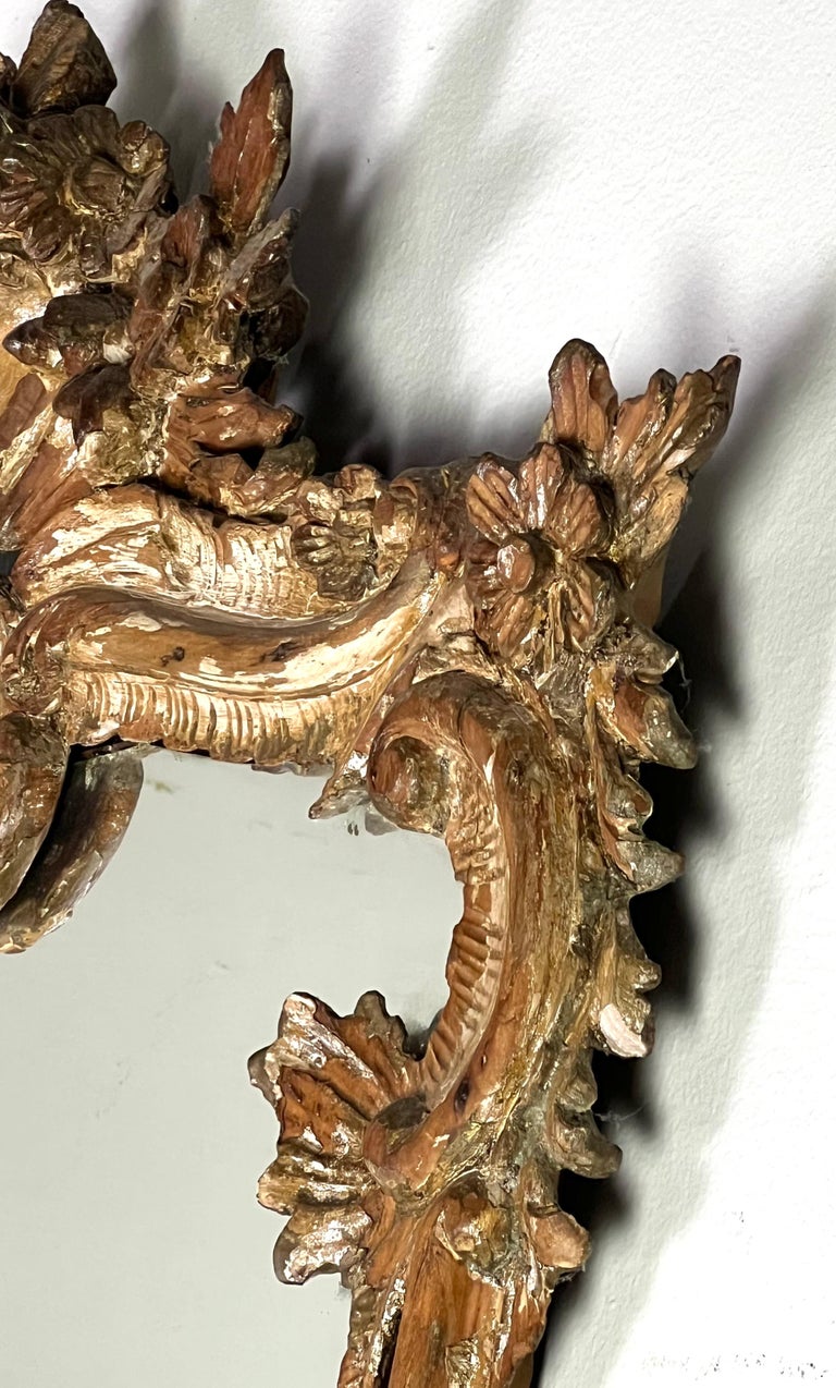 19th C. Italian Rococo Style Mirror