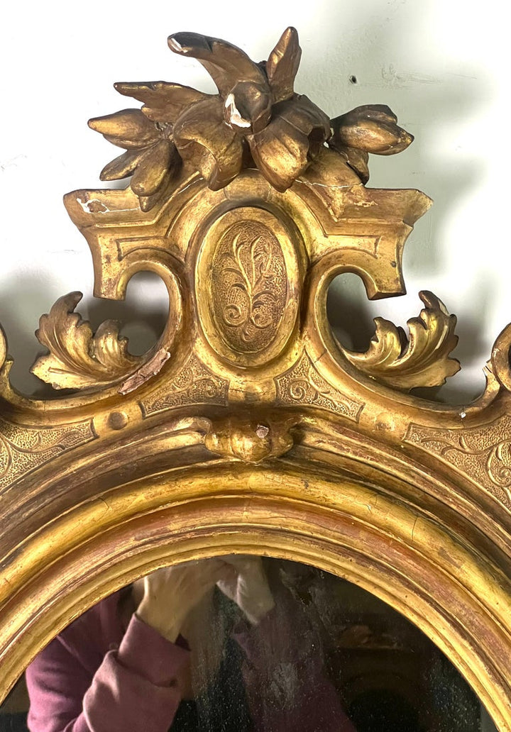 Pair of 19th Century Italian Rococo Style Giltwood Mirrors