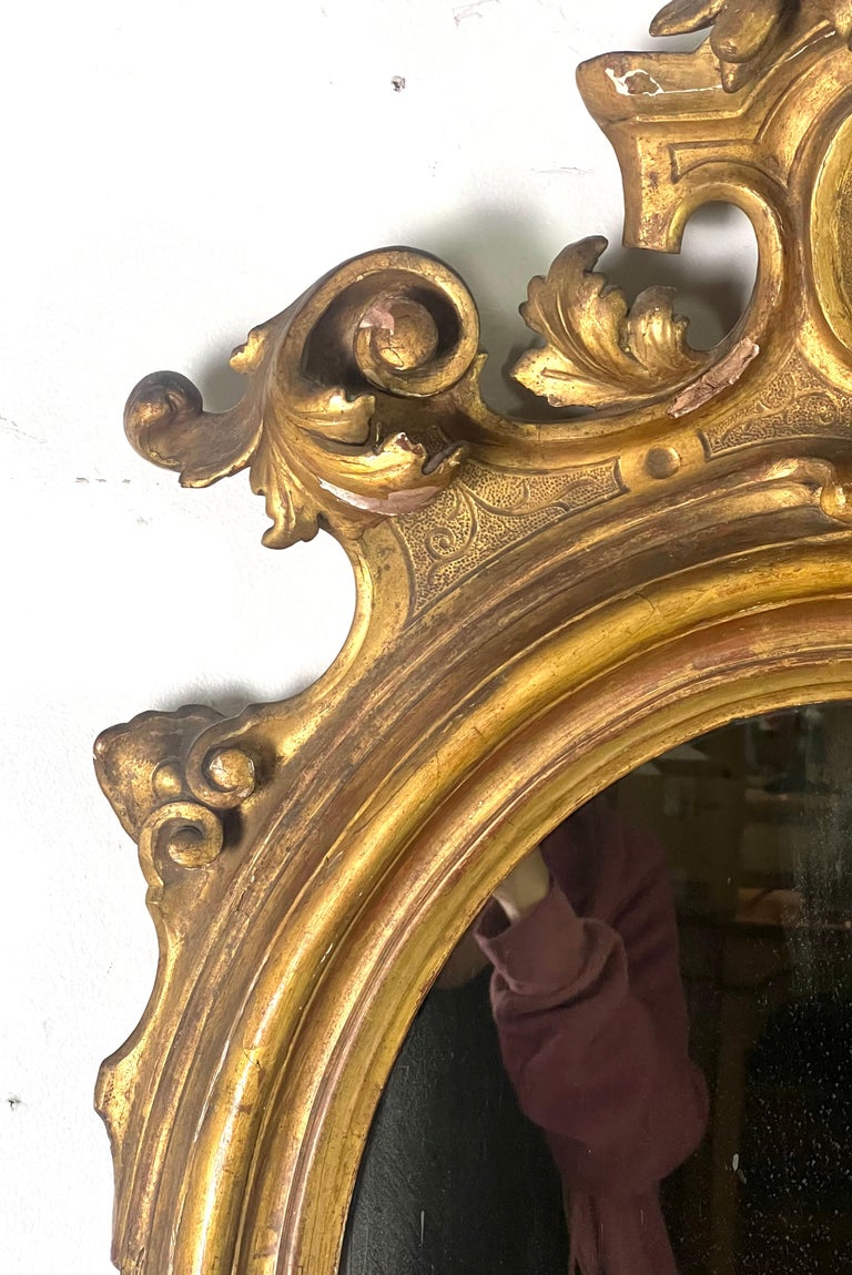 Pair of 19th Century Italian Rococo Style Giltwood Mirrors