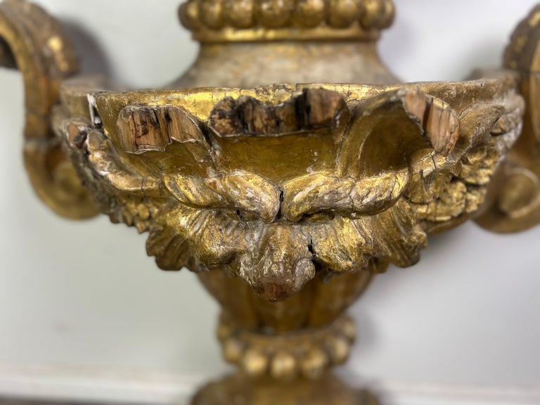 19th Century Monumental Italian Giltwood Urn