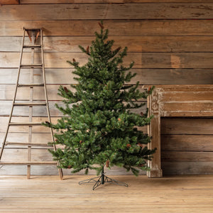 Grand Classic 7.5' Christmas Tree with 1373 Tips / 800 Lights