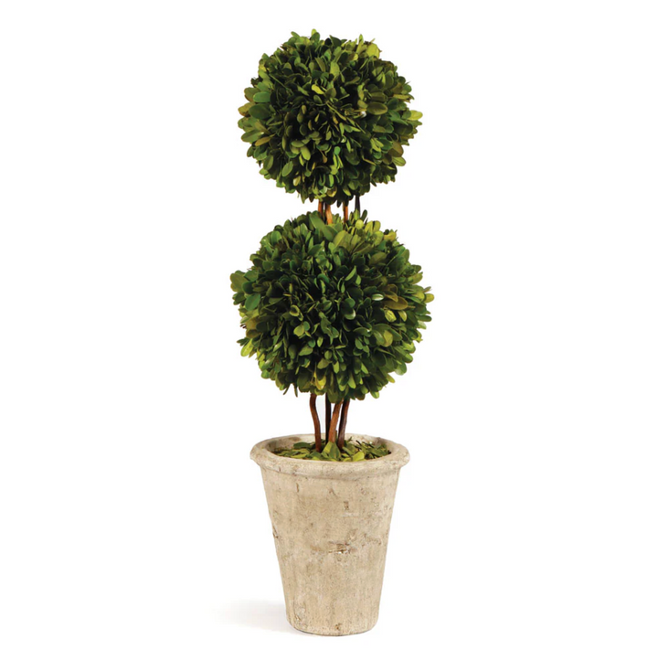 Boxwood Double Sphere Topiary 20"