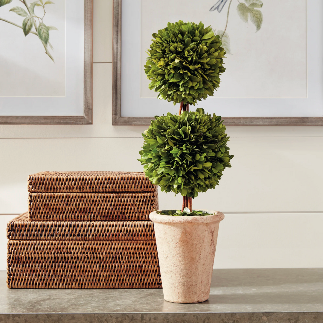 Boxwood Double Sphere Topiary 20"
