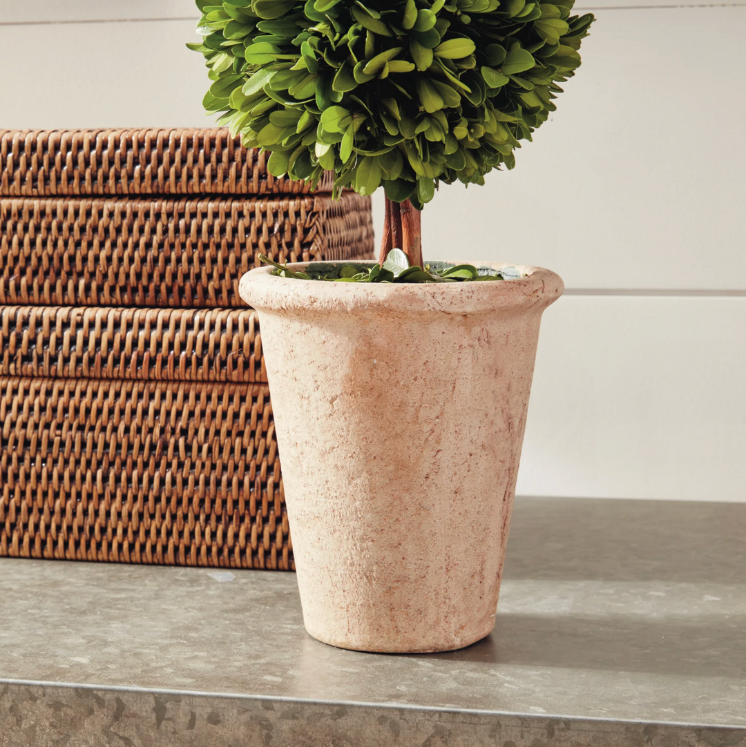 Boxwood Double Sphere Topiary 20"
