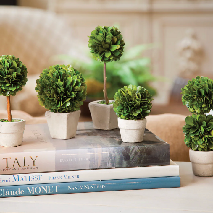 Boxwood Mini Topiaries (Set of 5)