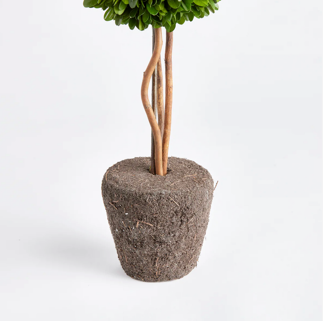 Boxwood Single Sphere Topiary Drop-In 16"