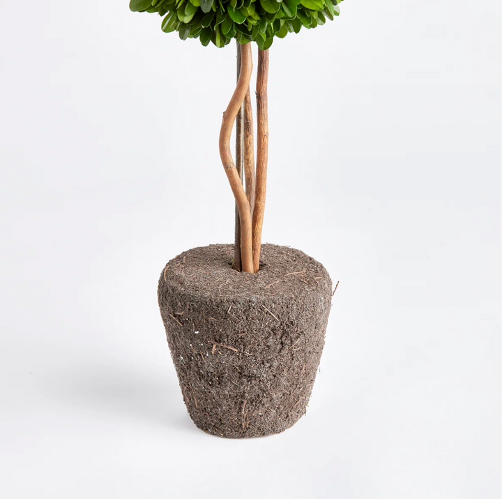 Boxwood Single Sphere Topiary Drop-In 16"