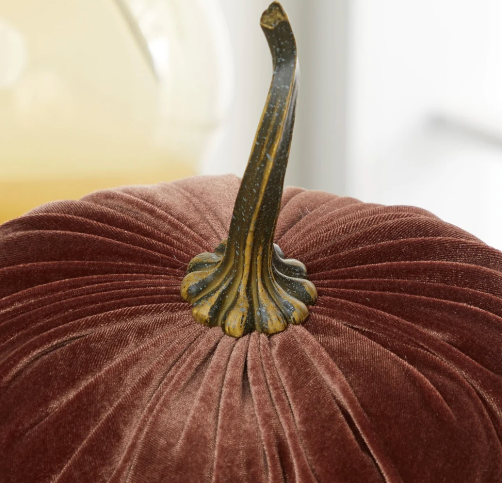 Bronze Heirloom Velvet Pumpkin