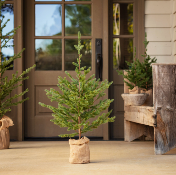 Woodland Fir - Large