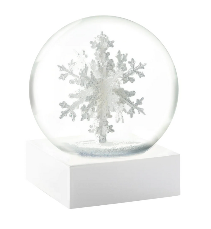 Snowflake Snow Globe