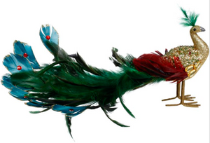 Elegant Peacock,  6 Inches