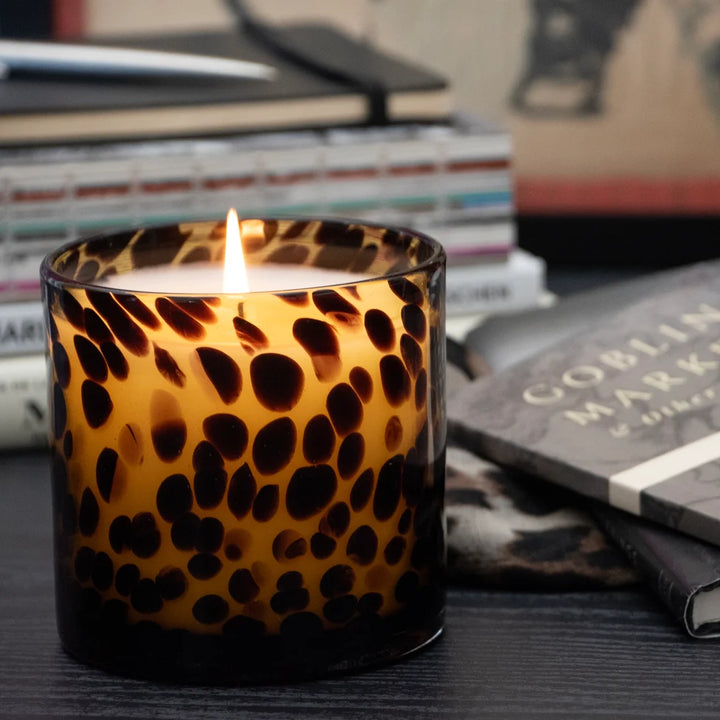 Sugared Amber Tortoise Soy Blend Candle