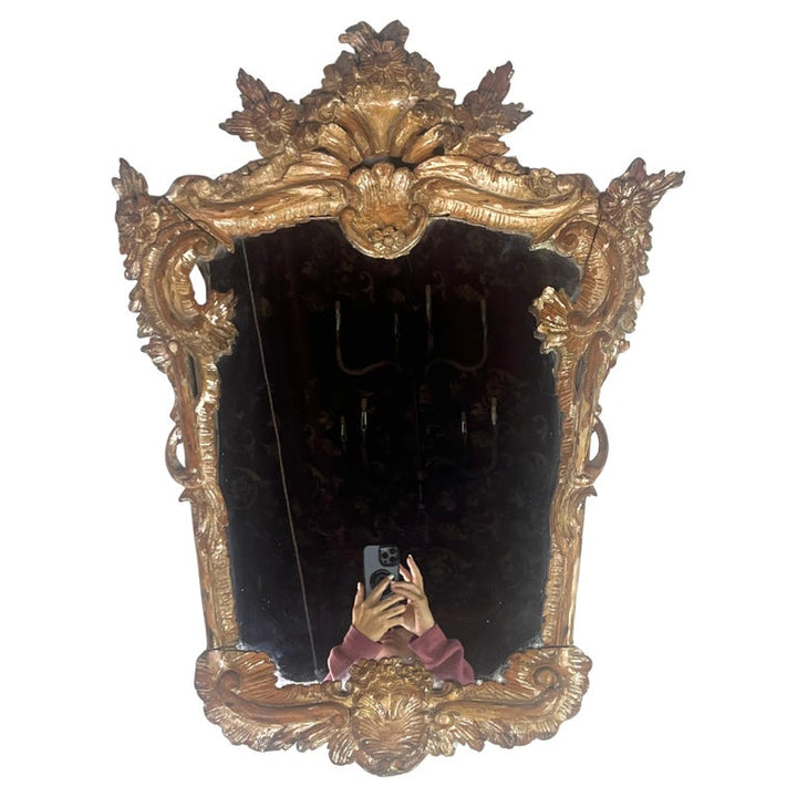 19th C. Italian Rococo Style Mirror