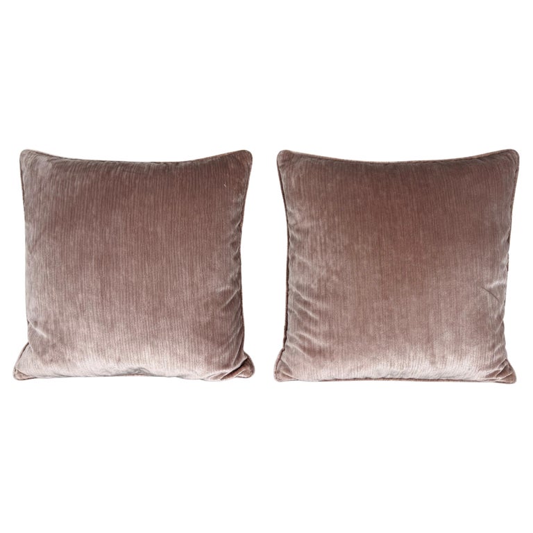 Pair of Contemporary Blush Velvet Decorative Pillows by Melissa Levinson