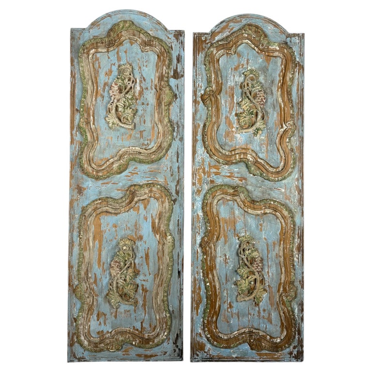 19th Century French Louis XV Rococo Doors with Distressed Wood Finish