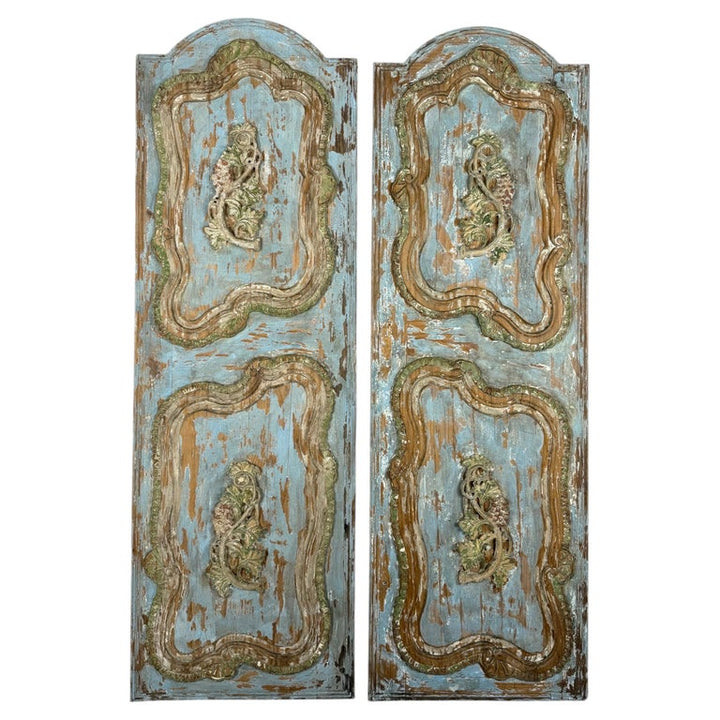 19th Century French Louis XV Rococo Doors with Distressed Wood Finish