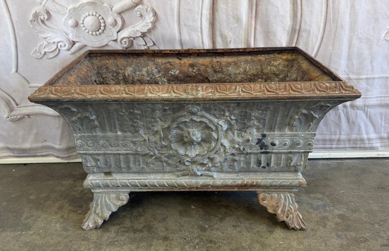 Antique French Cast Iron Jardinière Planter, Louis XVI Style, 1880